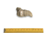 F 00096
<br/>
<br/>
<em></em>